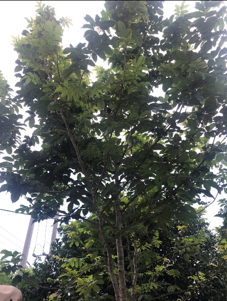 3044am永利集团官网