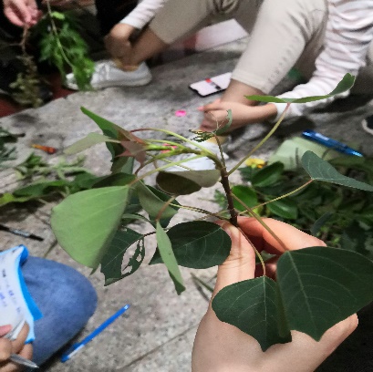 3044am永利集团官网