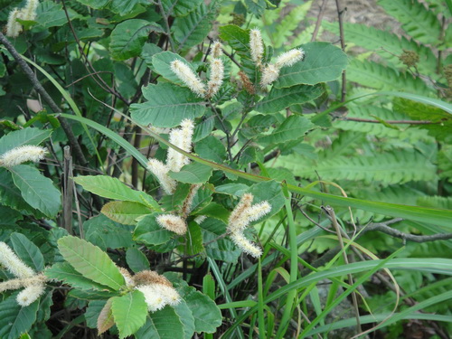 3044am永利集团官网