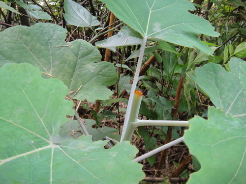 3044am永利集团官网