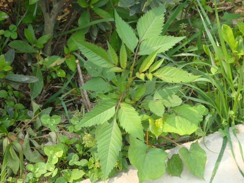 3044am永利集团官网