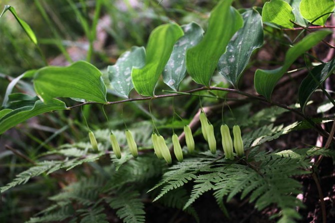 3044am永利集团官网
