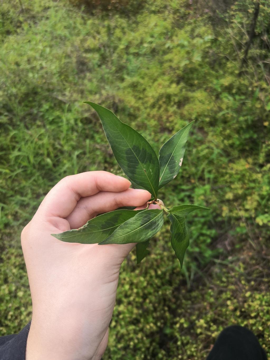 3044am永利集团官网