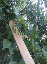 3044am永利集团官网