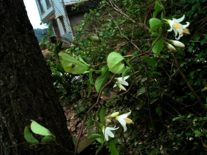 3044am永利集团官网