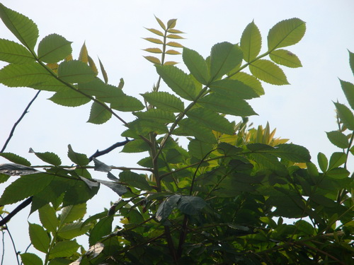 3044am永利集团官网