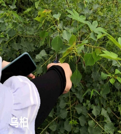 3044am永利集团官网