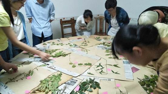 3044am永利集团官网