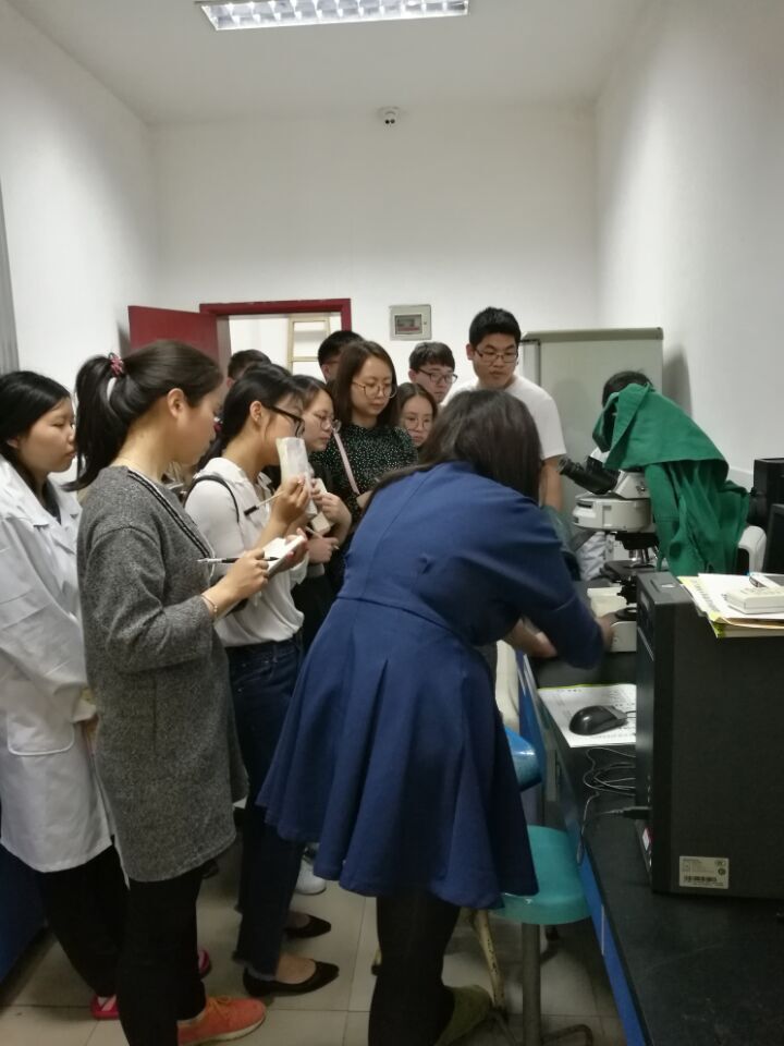 3044am永利集团官网