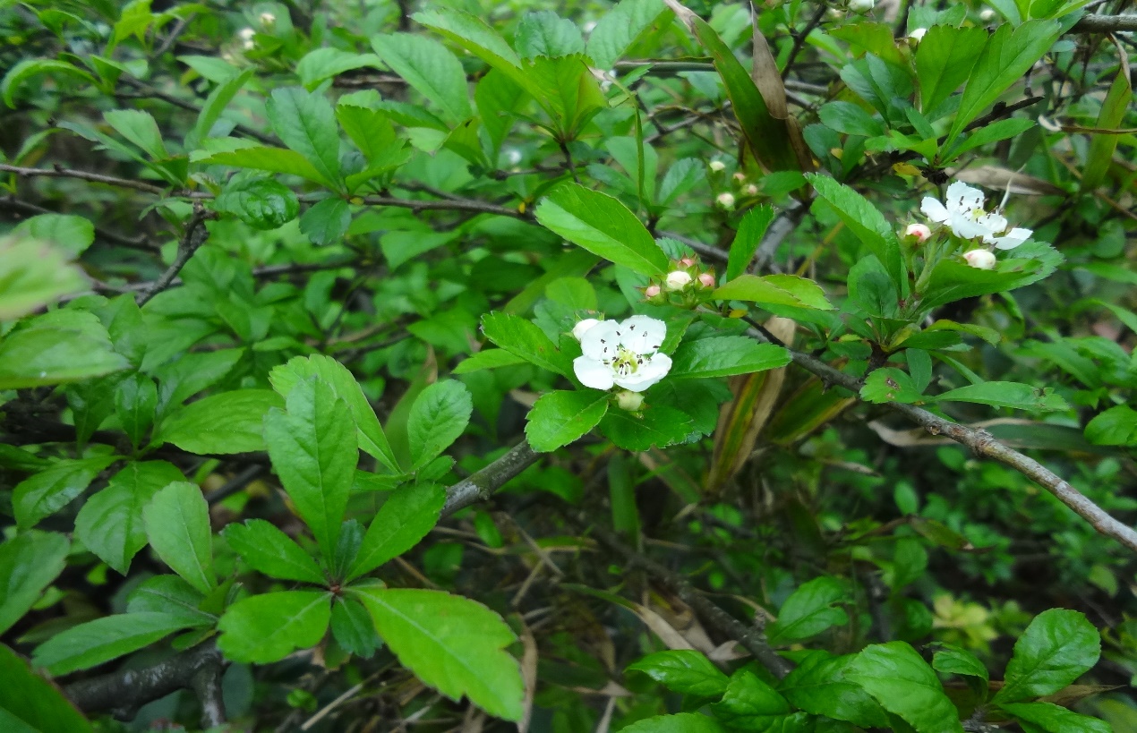3044am永利集团官网