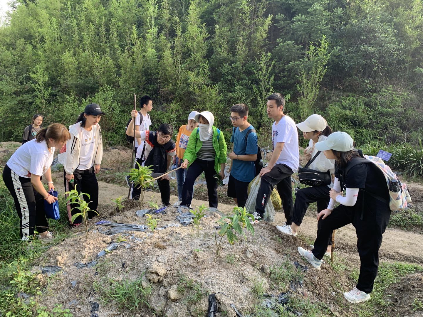 3044am永利集团官网