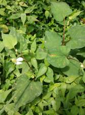 3044am永利集团官网