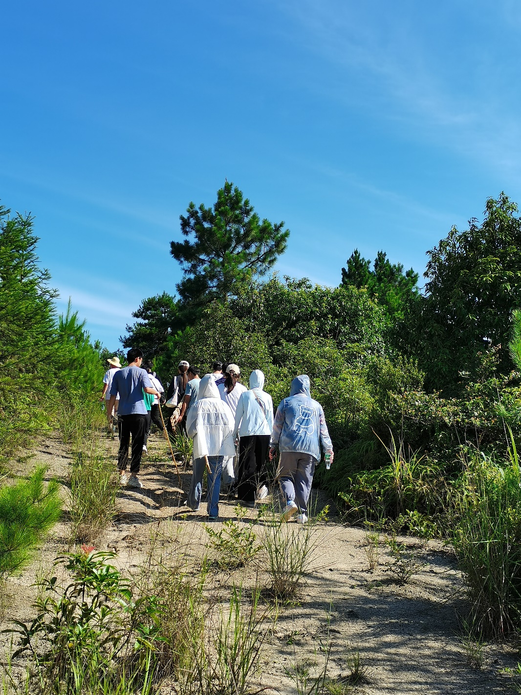 3044am永利集团官网