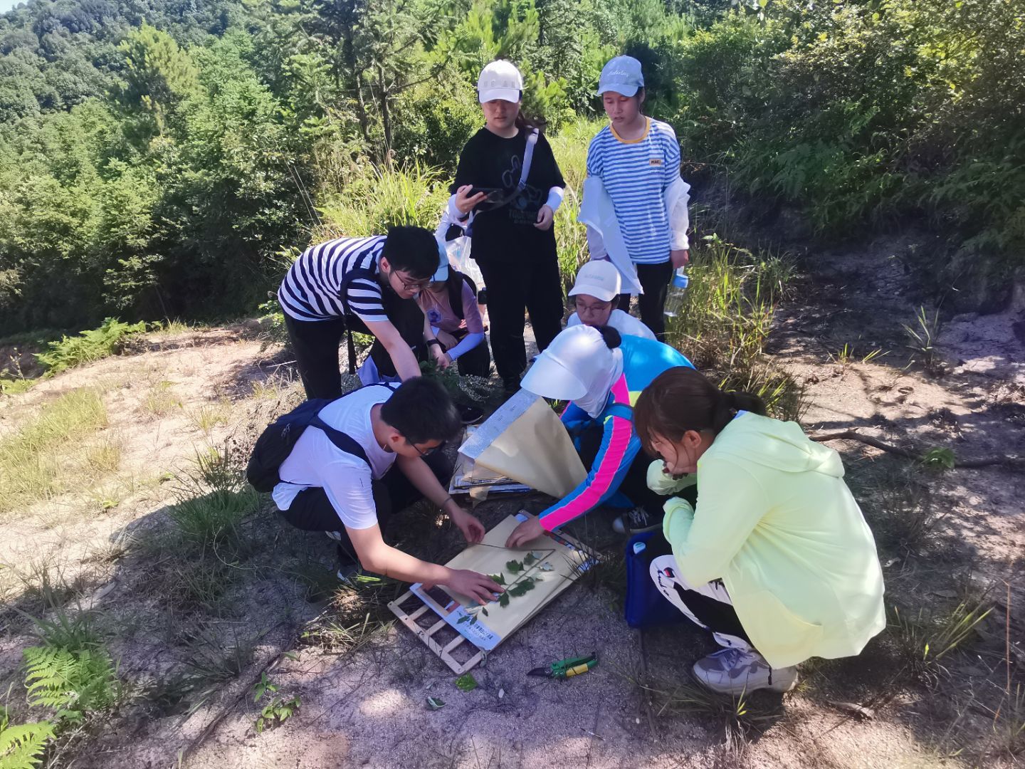 3044am永利集团官网