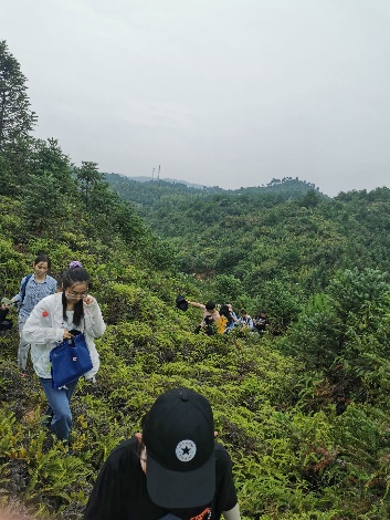 3044am永利集团官网