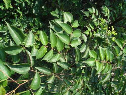 3044am永利集团官网