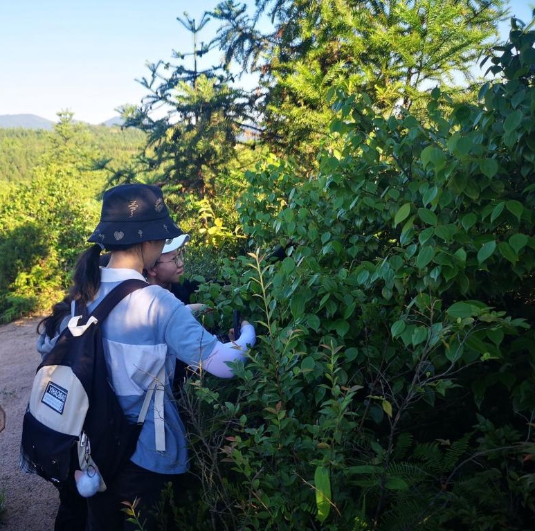 3044am永利集团官网