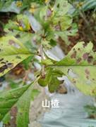 3044am永利集团官网