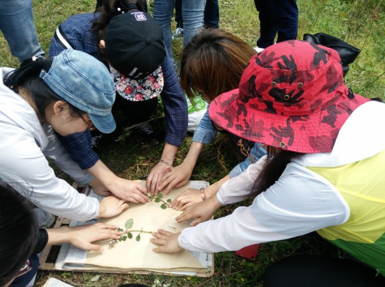 3044am永利集团官网