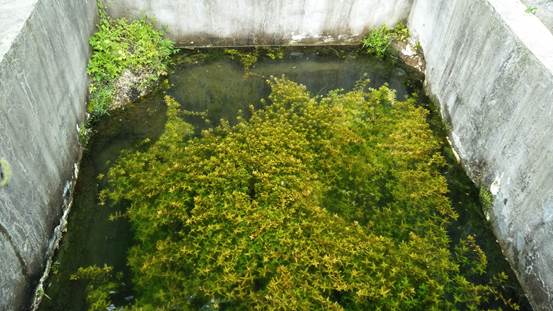 3044am永利集团官网