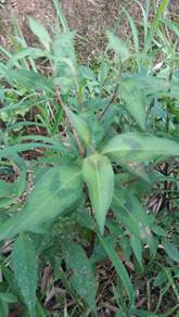 3044am永利集团官网