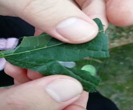 3044am永利集团官网