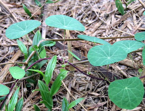 3044am永利集团官网