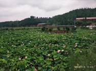 3044am永利集团官网