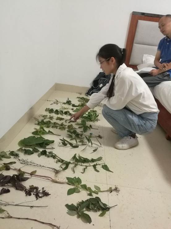 3044am永利集团官网