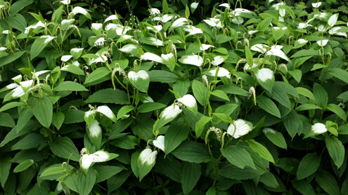 3044am永利集团官网