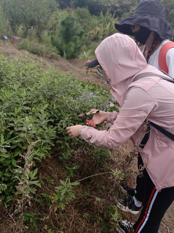 3044am永利集团官网