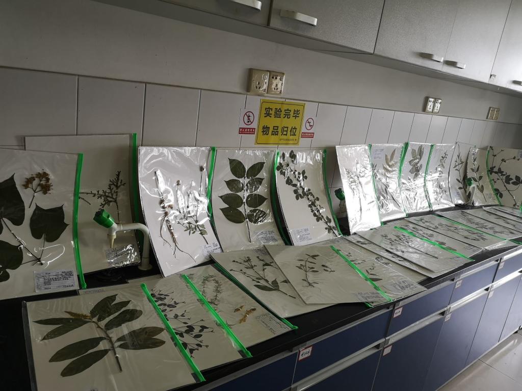 3044am永利集团官网