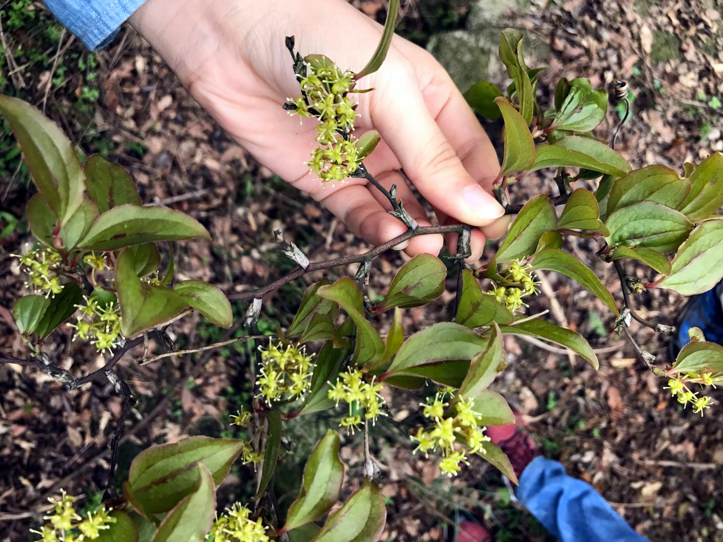 3044am永利集团官网