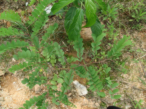 3044am永利集团官网