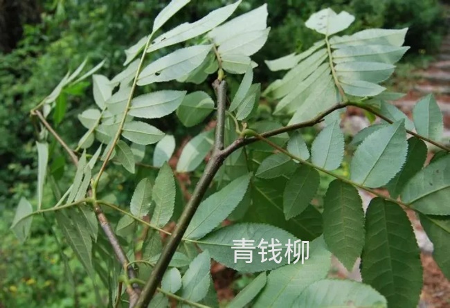 3044am永利集团官网