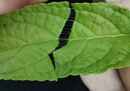 3044am永利集团官网