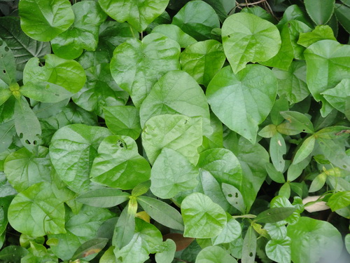 3044am永利集团官网