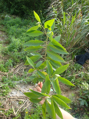 3044am永利集团官网